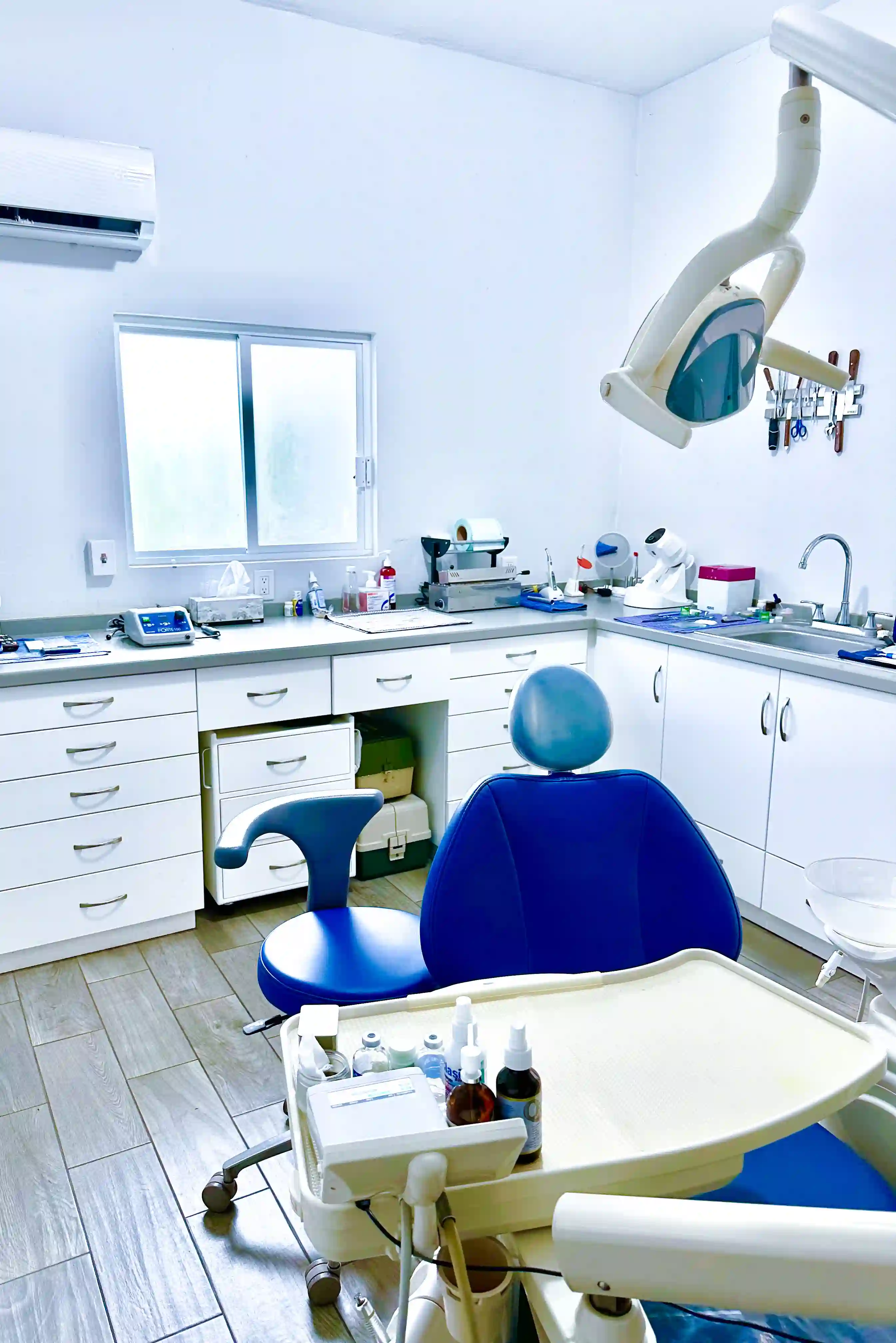 Fotografía de la Dra. Alis